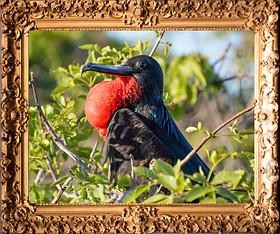 The Galapagos Collection | Trips of a Lifetime